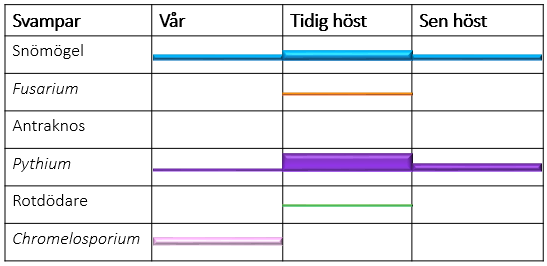 Årskortet 2012 Svampar Vår Sommar Höst Vinter Snömögel