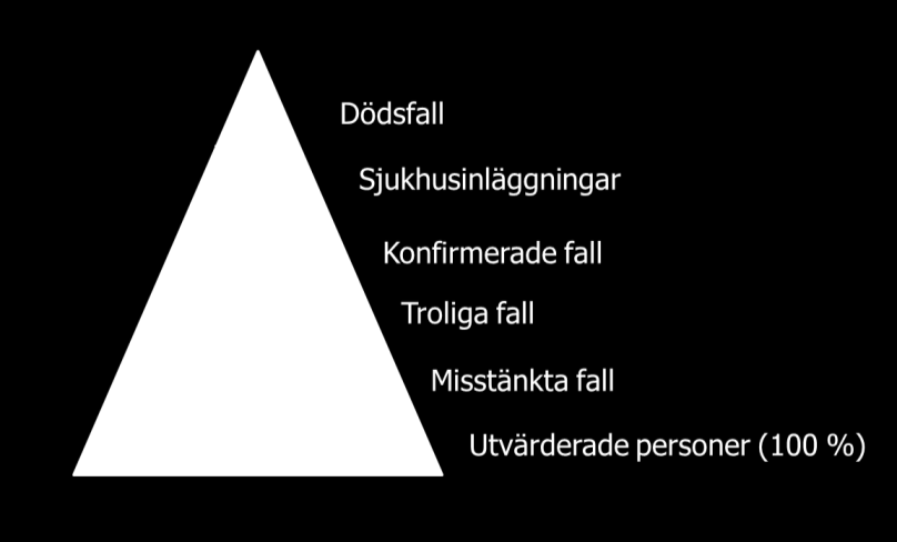 hur virulent 3 utbrottsstammen av legionella är som avgör hur stora konsekvenser ett utbrott får. Legionella pneumophila serogrupp 1 (L.