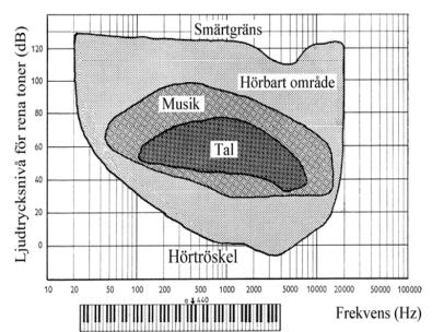 0-0-4 C innerörat, cochlea Basilarmembranet Hörområde Lika hörnivå-kurvor A D-filter Effekter