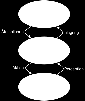 43 Figur 6. Färdighetsträning sker genom att inkommande information gör att hjärnan adapterar till nya svarsmönster ( veta hur-systemen ).