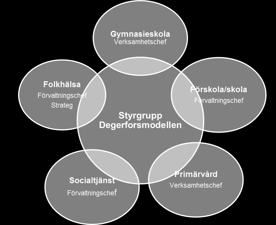Styrning, struktur och samsyn i Degerfors kommun Degerforsmodellen har sin grund i ordinarie verksamhet i Degerfors kommun, men även på olika arenor som exempelvis familjecentralen och
