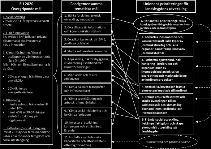 Jordbruksverket 2014-01-28 3(30) 1 Syftet med handlingsplanen Den regionala handlingsplanen ska användas för att styra länsstyrelsens arbete med prioritering och urval av ansökningar samt