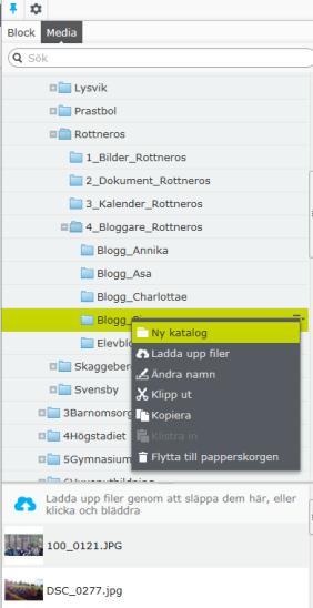 Arbeta med bilder på bloggen Sida 2 av 7 Kort om PUL, personuppgiftslagen Publicering av till exempel namn och foton på personer på bloggar och sociala medier är i princip alltid tillåten så länge