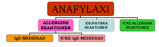 NOMENCLATURE ENK 2001 6