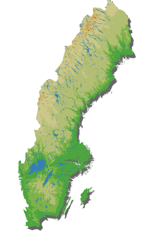 Uppföljningsprogram och register vid MMC/HC 80 70 60 50 40 30 20 10 0 Beslutsstöd för behandling av den enskilda personen 950201 950903 960305 960927 970415 971010 980304 981022 990215 Nationellt