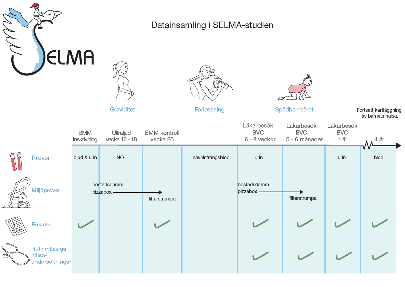 Data rörande miljöexponeringar (damm och luftprover) och livsstilar samt olika typer av biomarkörer (i blod och urin) kommer att främst samlas in under graviditet och den första tiden i barnets liv.