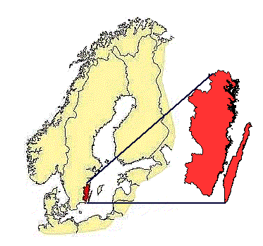 Utbildning i hjärt-lungräddning (HLR) till elever och lärare vid grundskolorna i