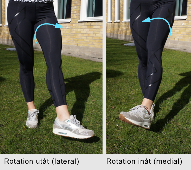 3.3 Mjukdelar 3 TEORI Figur 6: Rotation utåt och inåt 3.2.2 ROM ROM är förkortningen för Range of Motion, det vill säga avståndet som ett rörligt objekt kan färdas då det är fäst i något annat.