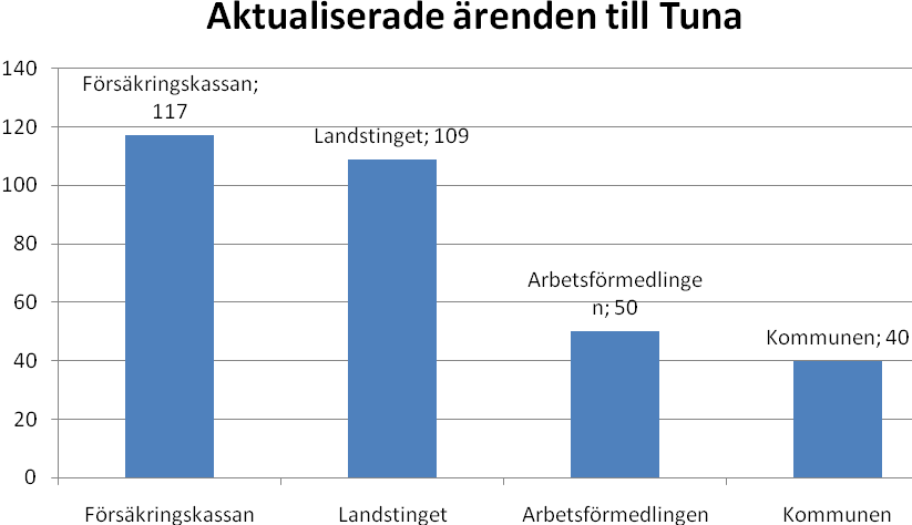 som framkommer. T.ex. kan det framgå att nivån i dagsläget är mer av sysselsättningsgrad eller att det finns andra diagnoser än psykiatriska som påverkar rehabiliteringen negativt.