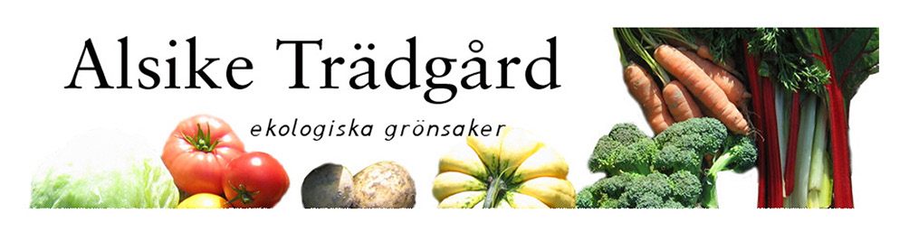 Alsike Prästgård 741