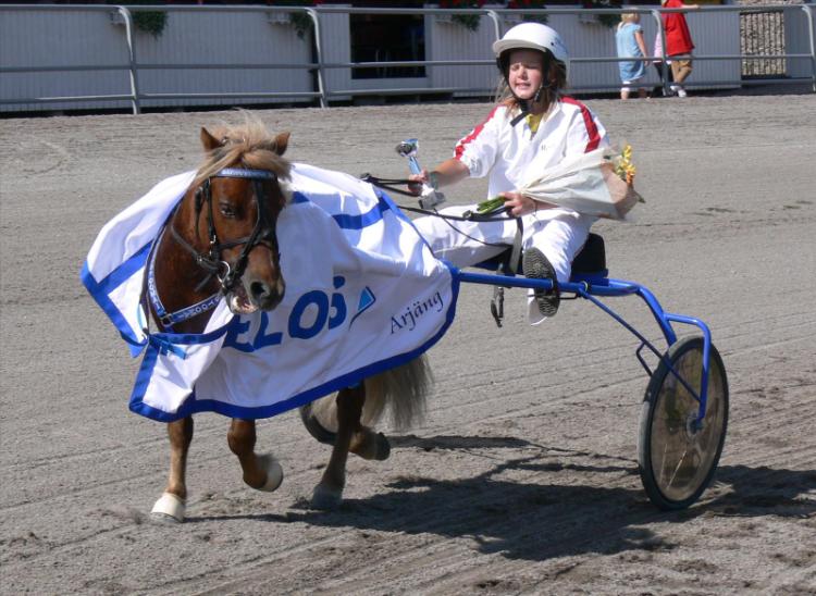 Ponnytravsäsongen drar igång!