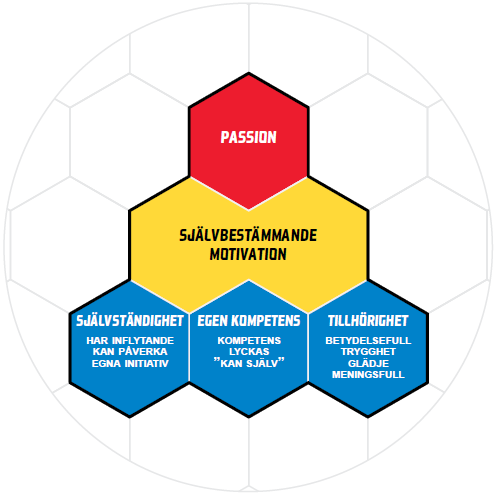 Motivation och passion För att få fram duktiga spelare i framtiden är vår viktigaste roll som tränare att skapa självbestämmande motivation, passion och välmående redan vid tidig ålder.