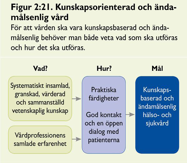 Behovsstyrning kontra produktstyrning Vid den kartläggning som Hjälpmedelsinstitutet genomförde 2008 5 bekräftades det att samtliga landsting