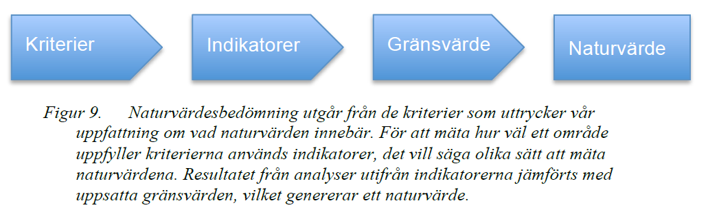 Naturvärdesbedömning slutprodukt i en process FÖRSLAG: Naturvärdesbedömning utförs antingen på övergripande nivå med låg grad av säkerhet för större ytor med liten hotbild, eller på