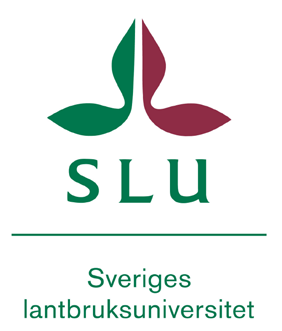 Beridare och stallchef, Tullstorp Ridskolechef, Billdal Ridlärare & gymnasielärare Egen företagare Stallchef, Flyinge Hippologutbildningen gav mig väldigt mycket kunskap, framförallt teoretisk men