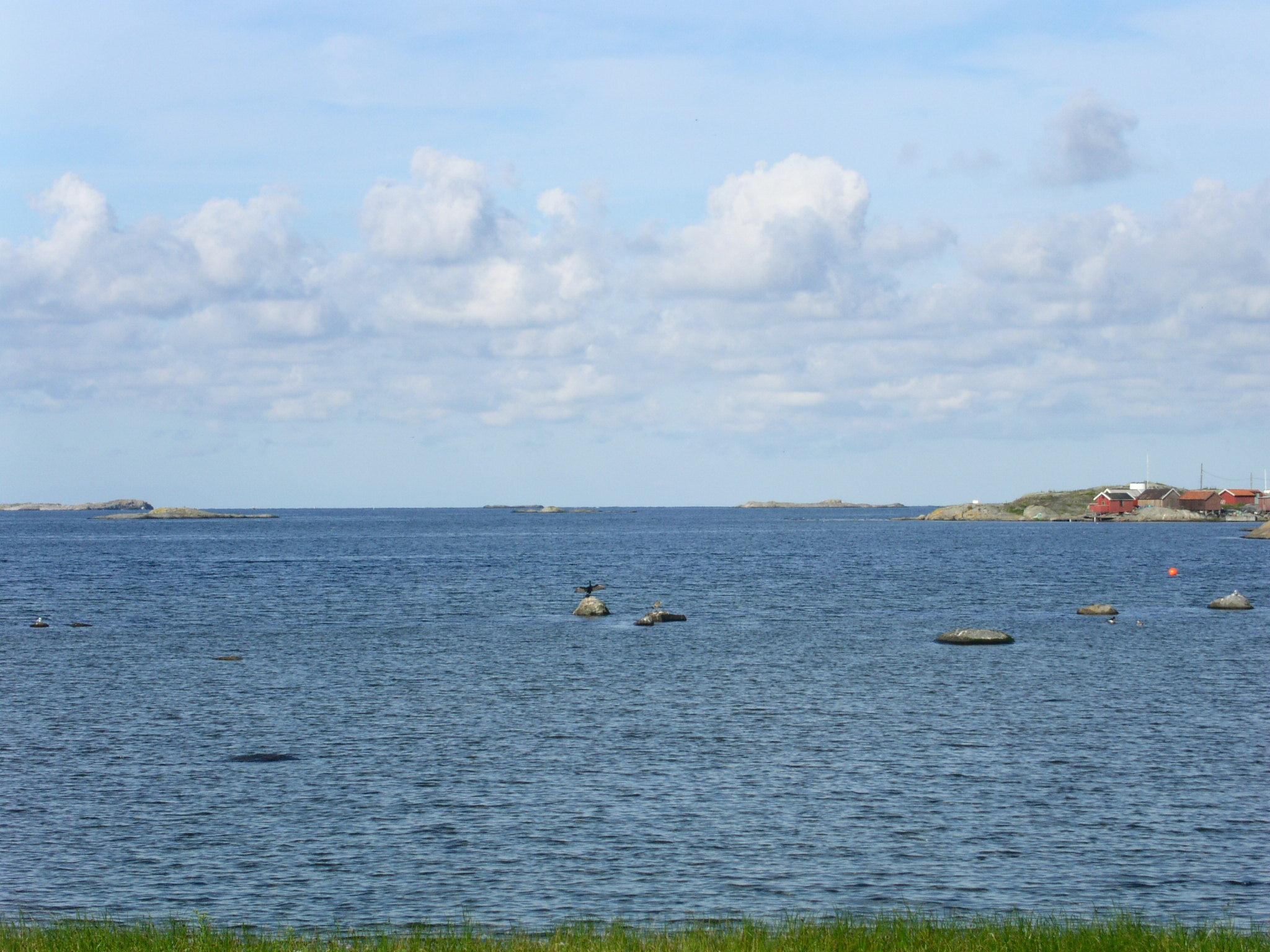 Hjärtats fågel Mikael Wiehe När Du ser mig när jag finns i Dina ögon när Du ser att jag finns till när Du hör mig när jag är i Dina tankar när jag kan vara den jag vill Men när Du blundar när Du