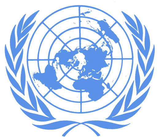 FN FÖRENTA NATIONERNA är en frivillig organisation där länder själva väljer om de vill vara med. Gissa hur många länder i världen som är med i FN? Svaret ser du på nästa sida längst ner.
