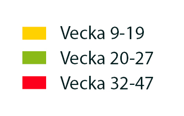 7 3 4 8 9 Växjöbostäders övriga pågående projekt Kvarteret Minnet, Väster 70 lägenheter 2-4 rum och kök, 8 ägarlägenheter Kvarteret Vallen, Söder 60 lägenheter 1-4 rum och kök, 11 ägarlägenheter