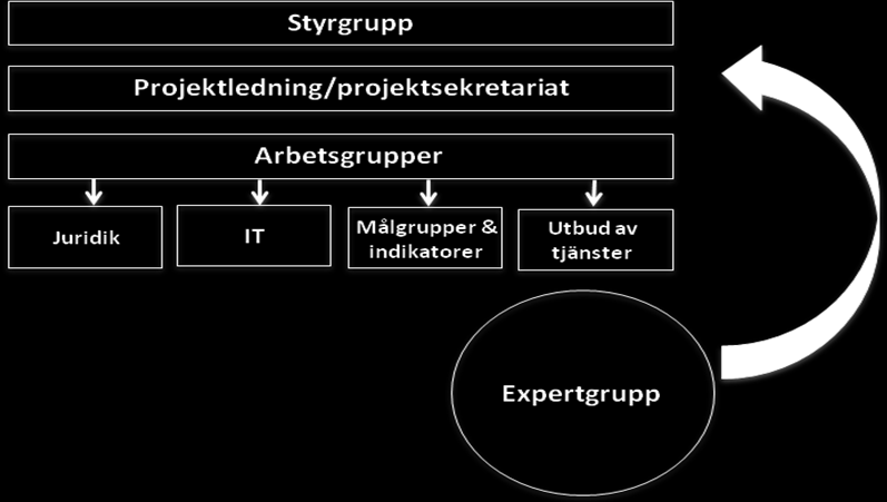 9(14) Styrgruppen har till uppgift att löpande ta beslut om projektets inriktning samt följa upp och utvärdera de insatser som utförts.