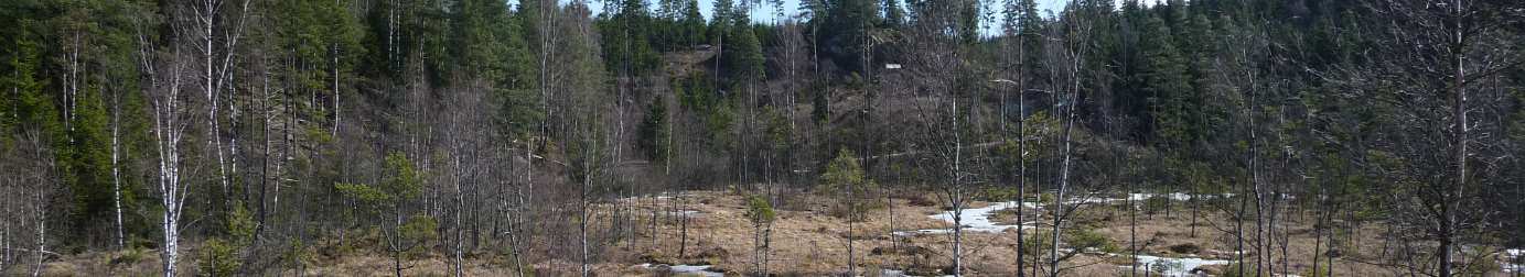 Våtmarksområde i centrala delen av planområdet som föreslås omvandlas till en vattenspegel.