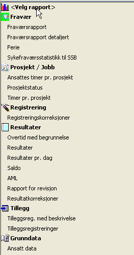 Anställnings data Rapporten visar en översikt över det som är registrerat på den anställde.