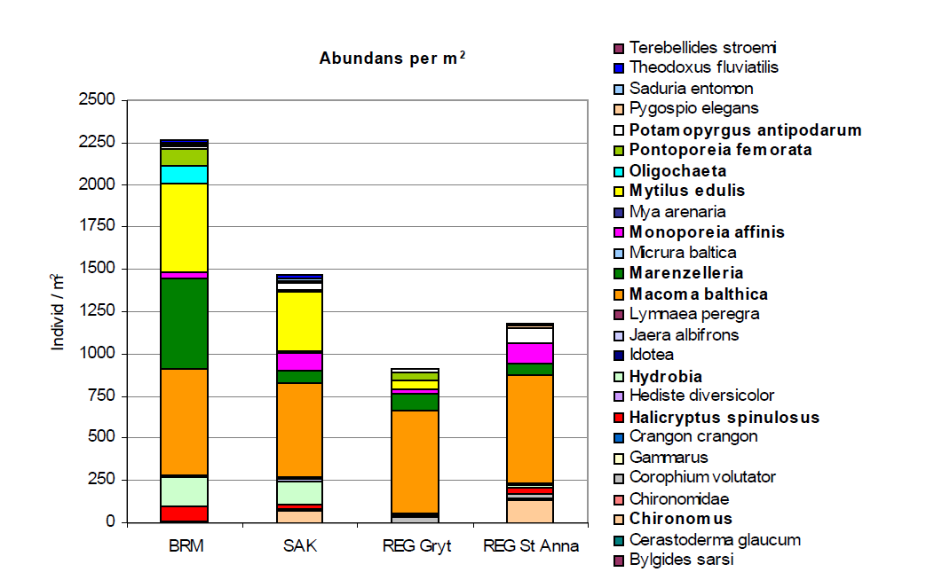 Den totala abundansen (alla individer av alla arter) har i området S:t Anna minskat och är 2013 den lägsta sedan mätseriens början år 2007.