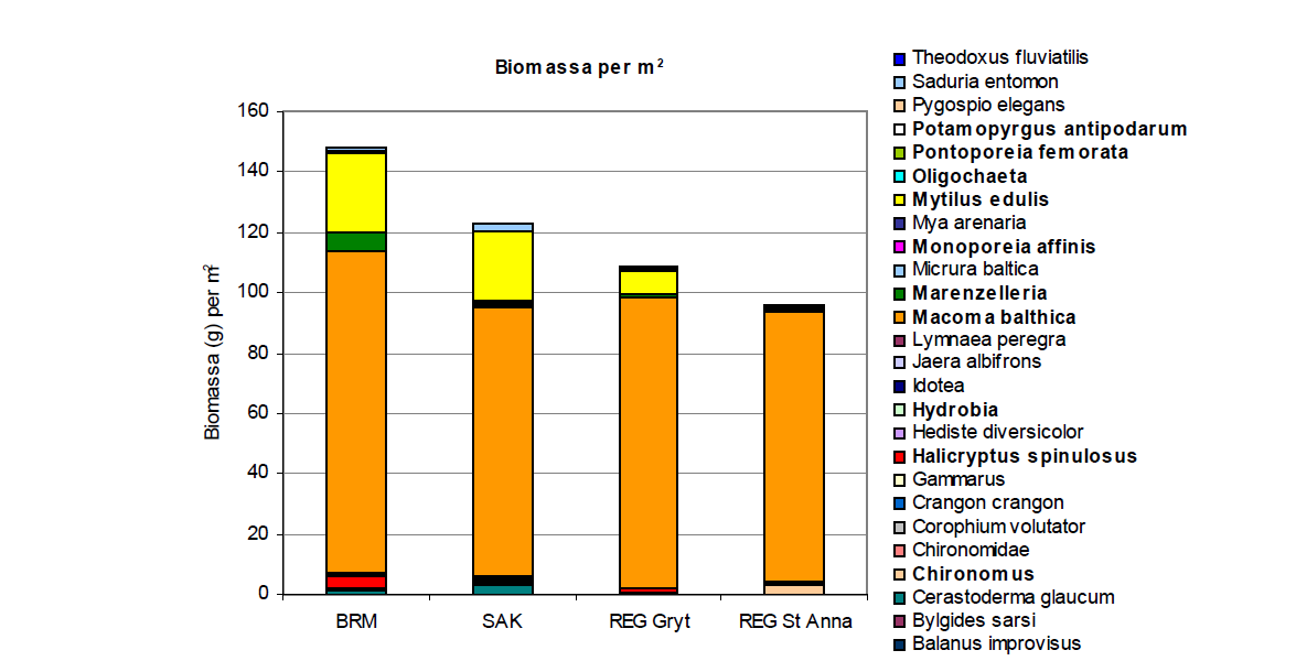 Biomassa (g våtviket) per kvadratmeter redovisat