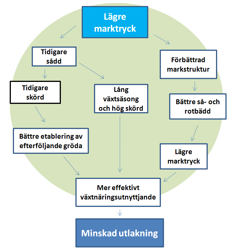 7 De markbiologiska effekterna av packning är dåligt undersökta men man vet att allt påverkas i olika omfattning.