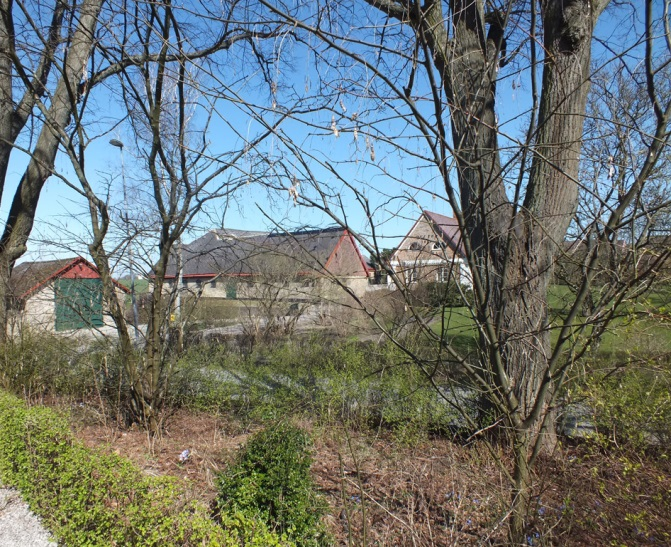 Trädkransen är komplett och dessa träd utgör en del i det omgivande allé- och parklandskapet. Muren fogades troligen om på 1950-talet med betong och uppvisar lös och skadad fog.