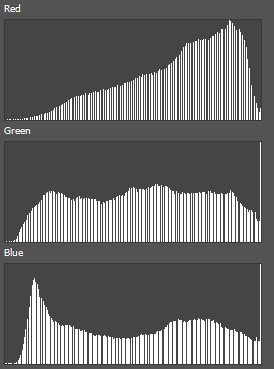 Bilden ser ut som en vanlig bleknad bild Bilden kan dock inte korrigeras genom att justera färgkanalerna