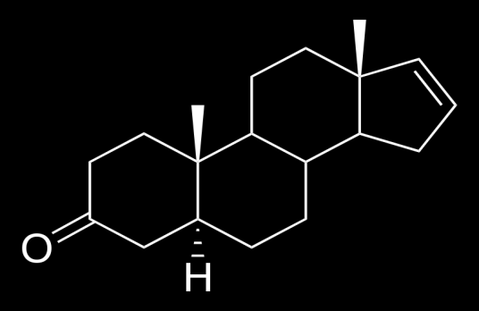 Då galten tuggar frigörs androstenon till omgivningen och kan tas upp av suggorna (Karlson & Lüscher, 1959). Figur 1. Schematisk figur över 5α-androst-16-en-3-one.