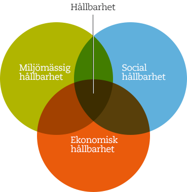 - Energi - Vatten - Avfall - Kemikalier - Mat - Tillgänglighet - Mänskliga rättigheter - Mångfald - Säkerhet - Hälsa och