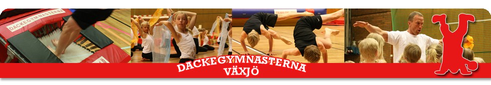 Theleborg special Gymnastikgrupp för barn med särskilda behov. 6-12 år. Måndagar 17.00-18.