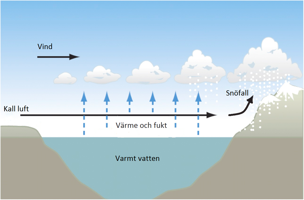 2. Teori 2.1. Snökanoner Snökanoner är ett annat namn för de konvektiva snöband som kan bildas när kall, torr luft transporteras ut över ett varmare hav eller sjö.