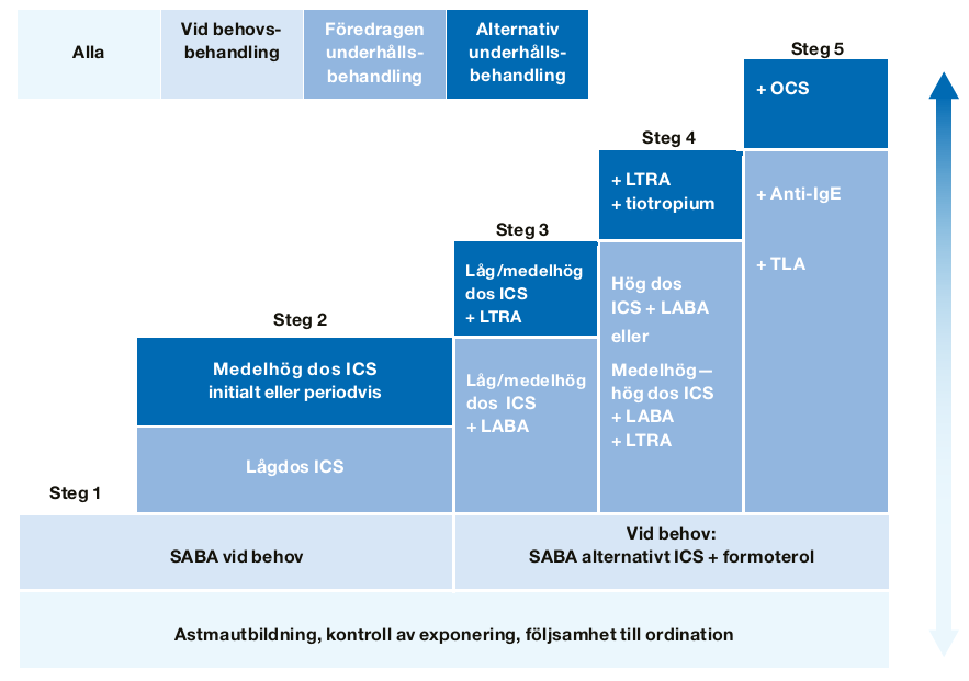 Vuxenastma Underhållsbehandling av astma Alla Vid behovsbehandling aredragen underhålls- behandling Alternativ underhallsbehandling + OCS Steg 5 Steg 4 Steg 3 + LTRA +tiotropiurn Steg 2 Medelhög dos