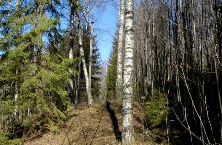 I planförslaget har passager mellan de olika bebyggda områdena lämnats samt den yttersta marken runt varje fastighet benämnts prickmark, att marken inte få bebyggas.