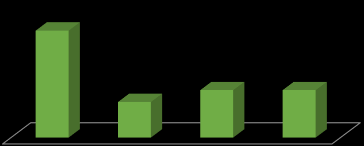 45% Utbildningsform 15% 20% 20% Endast journalistik Journalistik och annat område Journalistik och valt område Endast inom valt område n: 20 Figur 6.