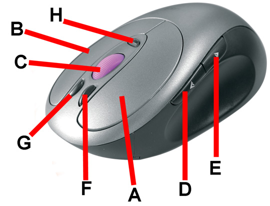 450LR MOUSE WIRELESS OPTICAL OFFICE G