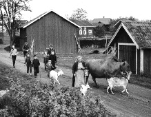 VI FIRAR 45 ÅR! Klipp ut eller ta kort på annonsen, så får du 25% rabatt på ditt köp! (gäller ord.