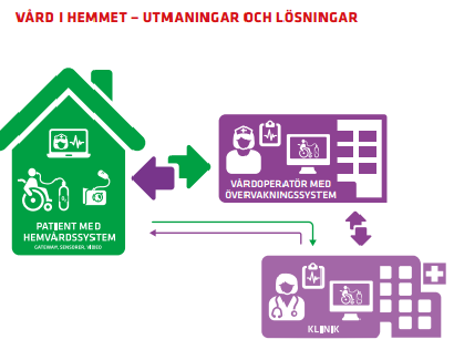 programansvarig för ehälsa Center för