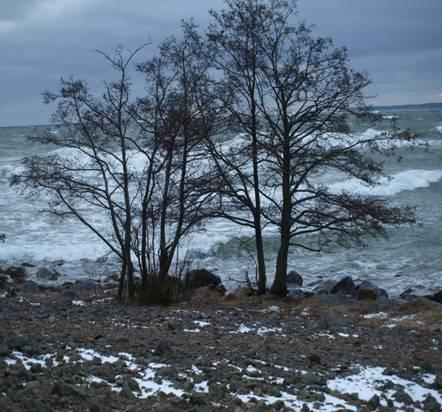 Konsultrapport Utredning Bryggan och BNS samverkan kring barn med neuropsykiatriska behov Landstinget