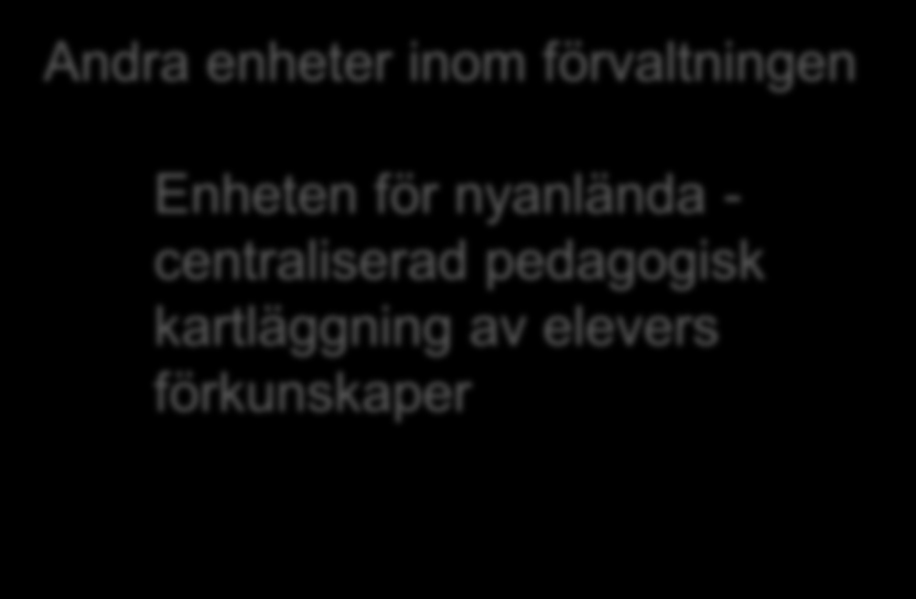 Tidigare erfarenheter Nätverket för rekrytering av nyanlända pedagoger (röda tråden) sedan 2011. - Med syftet att få nyanlända lärare att kunna fortsätta sitt läraryrke i Sverige.