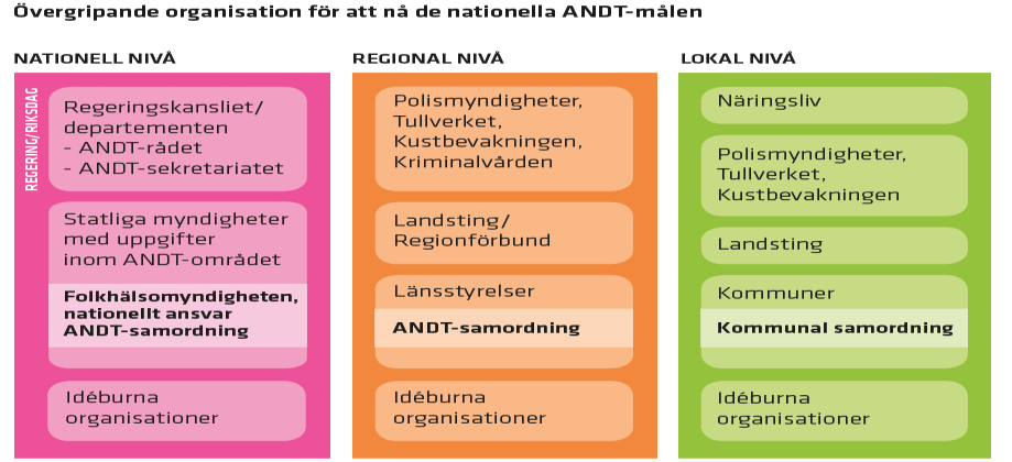 Folkhälsomyndigheten (tidigare statens folkhälsoinstitut) har det nationella ansvaret för ANDT-samordning och för uppföljning av regeringens ANDT-strategi. Ansvaret innefattar bl.a. kunskapsstöd om förebyggande metoder, för tillsyn enligt alkohol- och tobakslagarna samt för bevakning, utredning och kontroll av hälsofarliga varor.