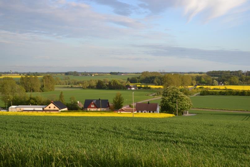 Åkermarkens användning i Sverige 2013 Foto: B Landquist Ett sydsvenskt jordbrukslandskap Vallar Annat grovfoder Spannmål Oljeväxter Baljväxter