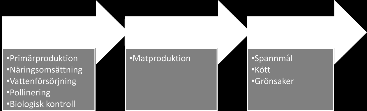 Det går inte alltid en ekosystemtjänst på en ekosystemfunktion (de Groot & Wilson, 2002).