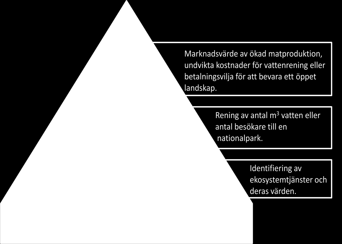 Figur 5. Exempel på hur olika ekonomiska termer relaterar till värderingen av ekosystemtjänster. Baserad på Naturvårdsverket (2012) 2.6.