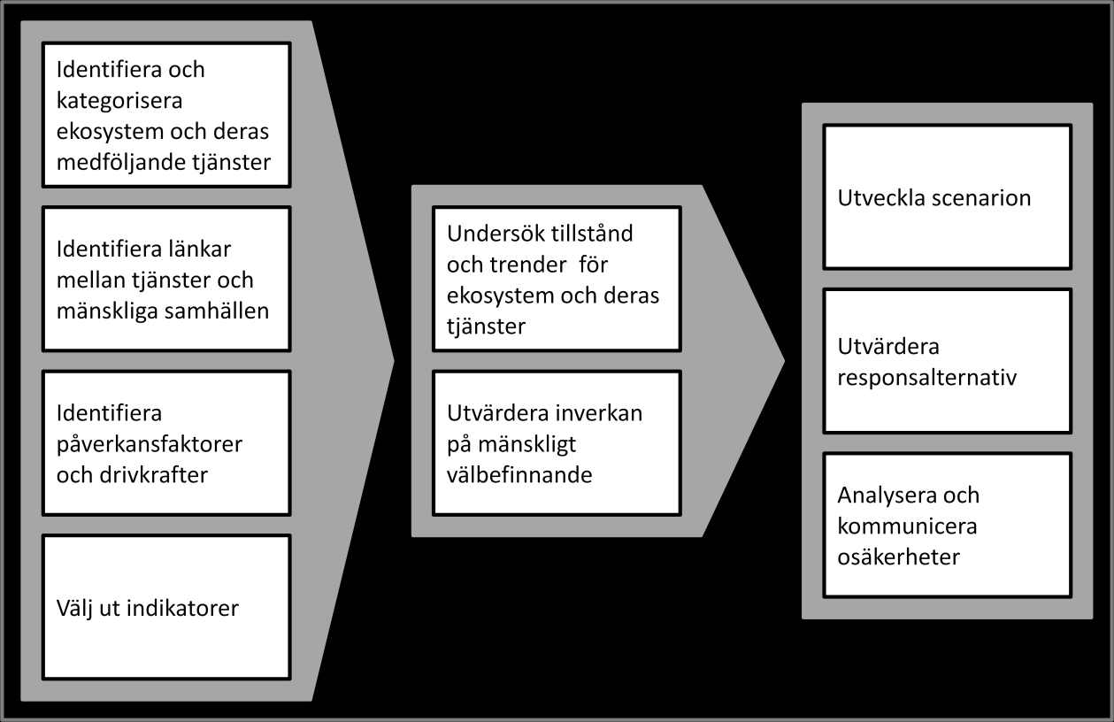 Figur 7. Analytiskt tillvägagångssätt och huvudsakliga uppgifter i Millennium Ecosystem Assessment (2003).