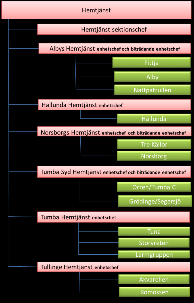 Hemtjänstens organisation Hemtjänsten är en sektion inom verksamhetsområdet äldreomsorg. Sektionen leds av en sektionschef och består av sex enheter med vardera en enhetschef.