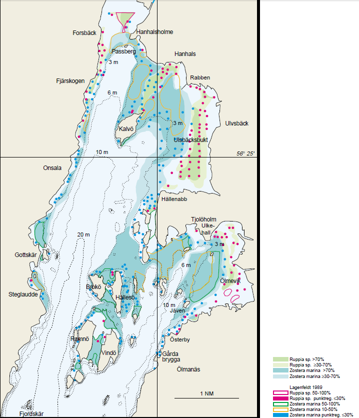 MILJÖKONSEKVENSBESKIVNING RISKHANTERINGSPLAN FÖR ÖVERSVÄMNINGSRISKER 35 allt i mjukbottnar på större djup. Det finns både mjuk- och hårdbottenfauna i fjorden.