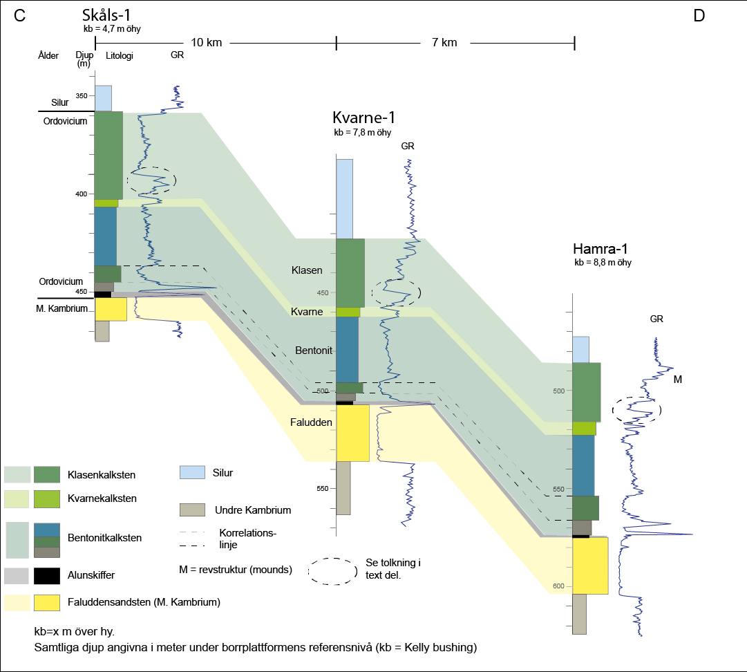 Fig.20: Profil som visar en tolkning av den laterala utbredningen av geofysiskt och litologiskt identifierade enheter i den ordoviciska lagerföljden på södra Gotland.